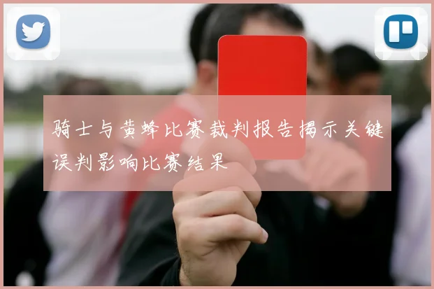 骑士与黄蜂比赛裁判报告揭示关键误判影响比赛结果