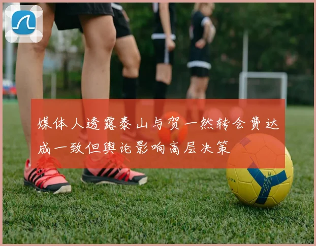 媒体人透露泰山与贺一然转会费达成一致但舆论影响高层决策