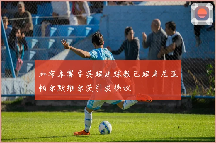 加布本赛季英超进球数已超库尼亚帕尔默维尔茨引发热议