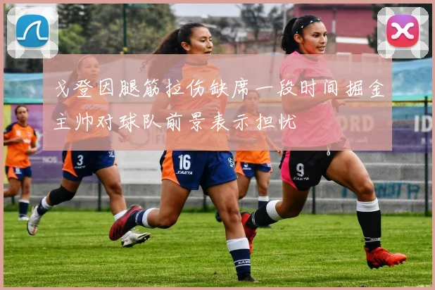 戈登因腿筋拉伤缺席一段时间掘金主帅对球队前景表示担忧